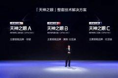 <b>下探到7万！比亚迪把智驾溢价打没了：谁不跟进</b>